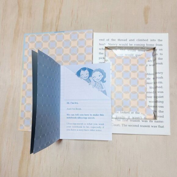 Ivy + Bean Girls Youth Chapter Books by Annie Barrows + Sophie Blackall - Picture 13 of 13
